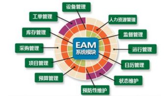 企業(yè)資產(chǎn)管理系統(tǒng)的關(guān)鍵角色與實(shí)施策略